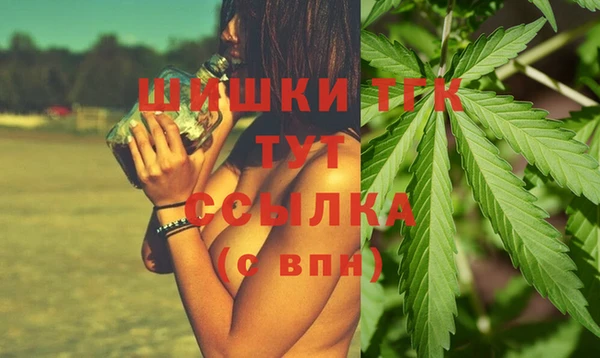 СК Алзамай