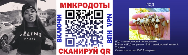 Псилоцибиновые грибы мицелий  KRAKEN зеркало  Кыштым 